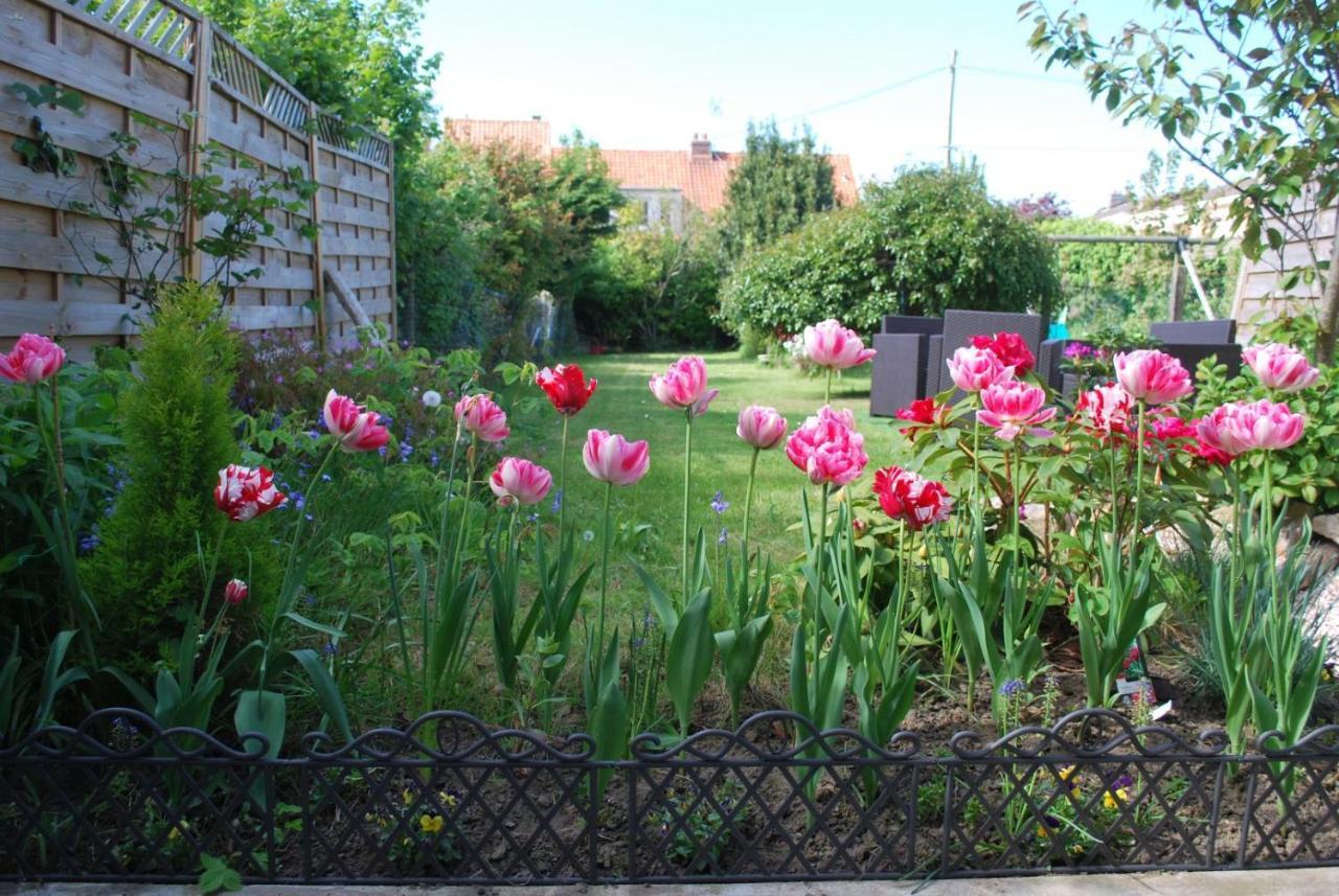 La Saint Martinoise Bed & Breakfast Luaran gambar